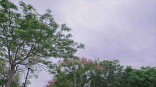 第32集