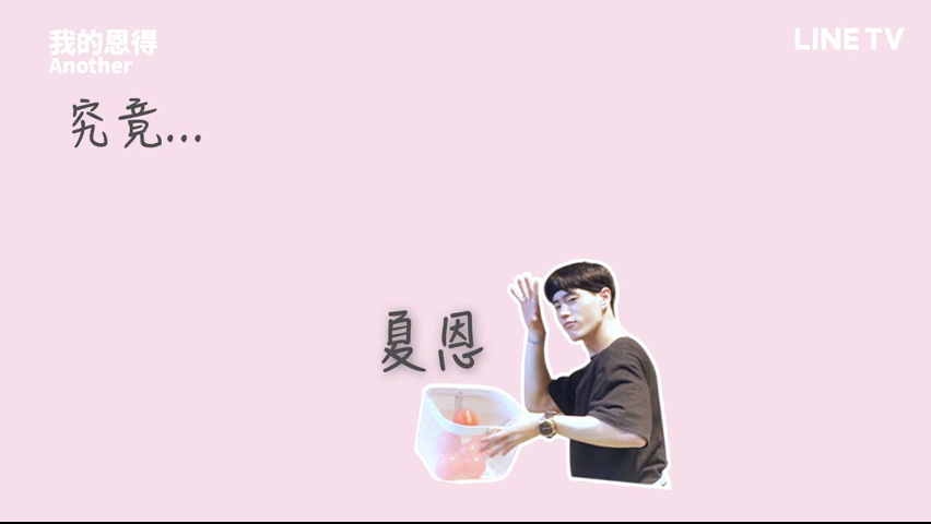 前導片