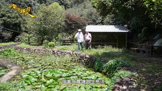 0509 大台中新聞