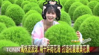 0530 大台中新聞