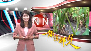 0930 大台中新聞