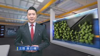 0403 台灣生活新聞