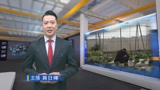 0407 台灣生活新聞