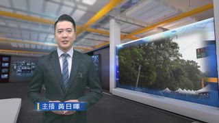 0410 台灣生活新聞