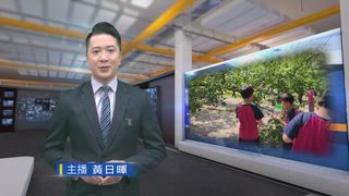 0413 台灣生活新聞