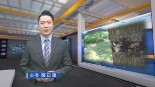 0415 台灣生活新聞