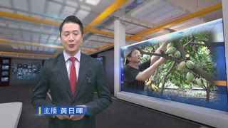 0512 台灣生活新聞