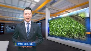 0710 台灣生活新聞