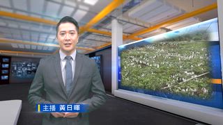 0815 台灣生活新聞
