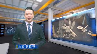 0904 台灣生活新聞