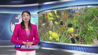 0820 南投新聞