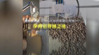 0518 雲林新聞網