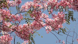 0517 新永安新聞