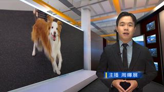 1017 新永安新聞