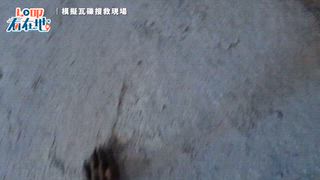 1024 新永安新聞