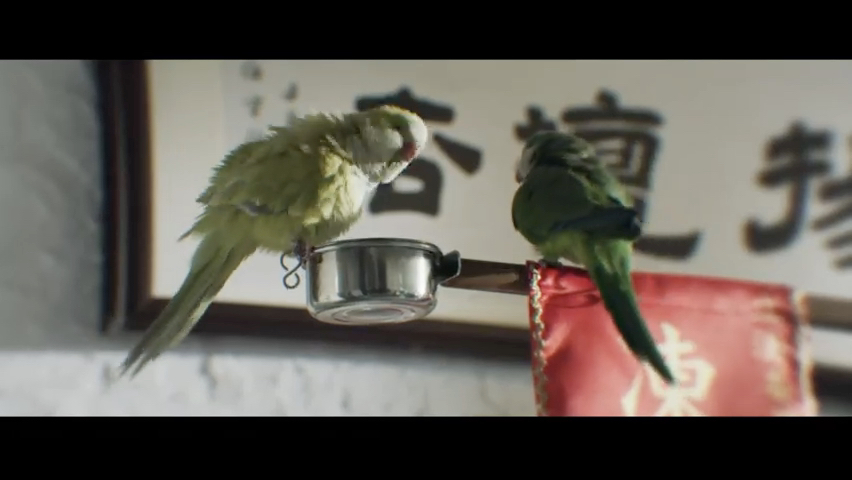 第11集