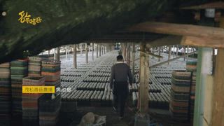 EP2 雙鐵任我行