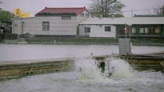 EP4 雲林海陸小旅行