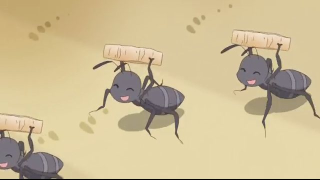 第79集