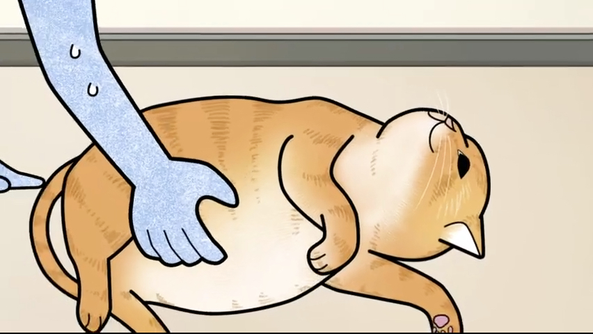 第9集