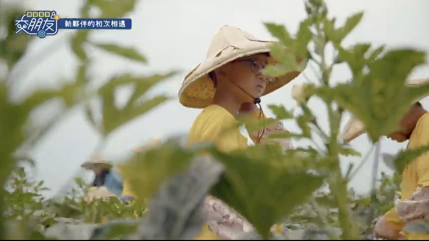 01 新夥伴的初次相遇