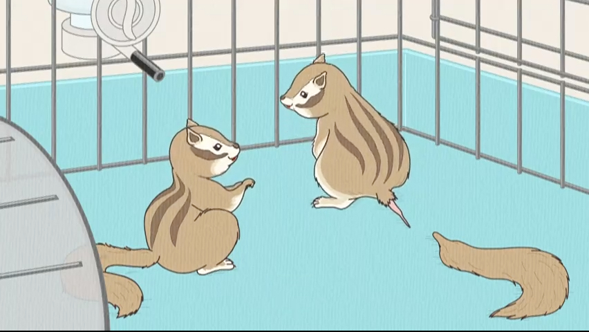 第11集