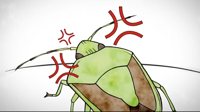 第12集