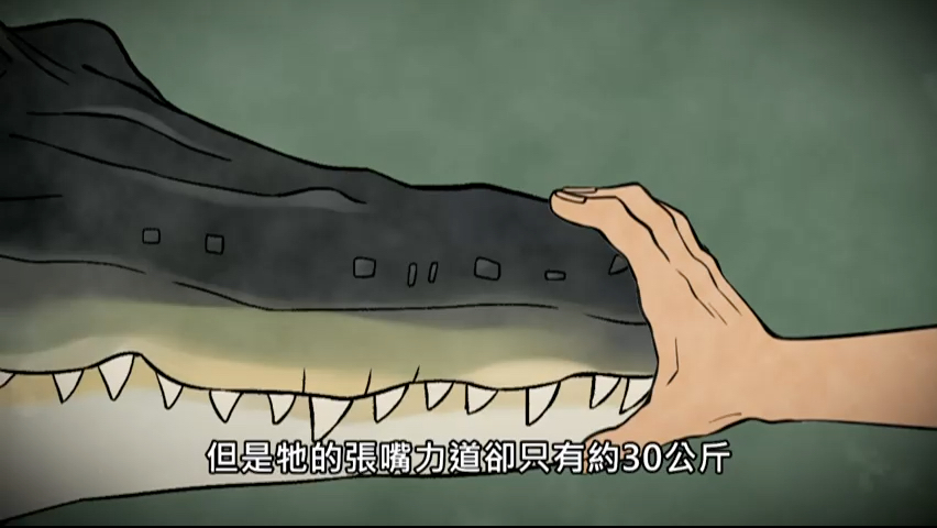第8集