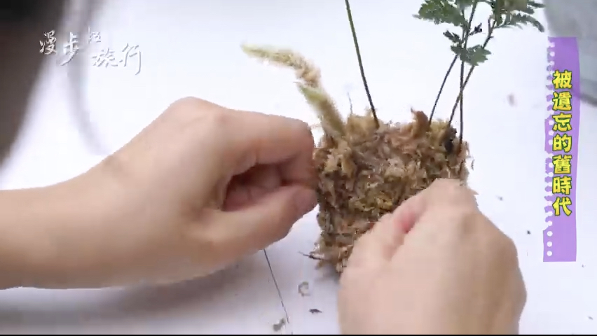 EP4 被遺忘的舊時代