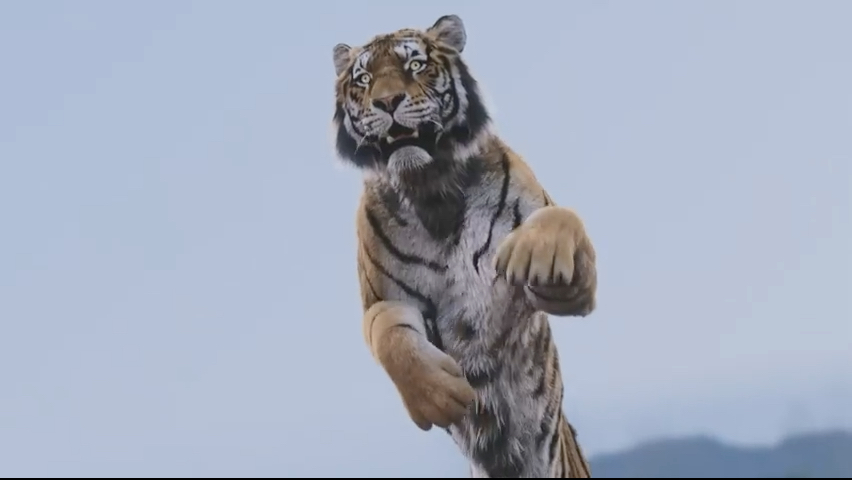第15集