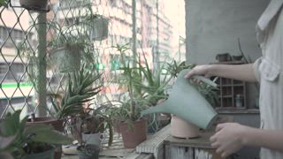 第1集