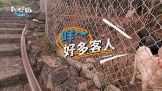 第9集 周曉涵來啦！志琳哥開啟追星模式