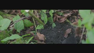 第6集