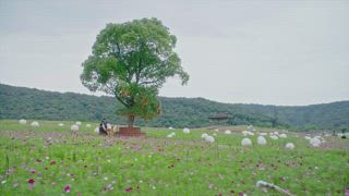 第11集
