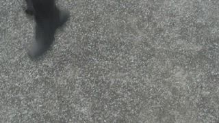 第5集
