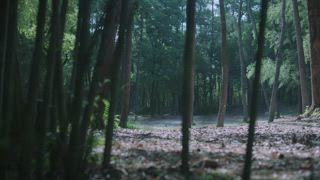 第10集