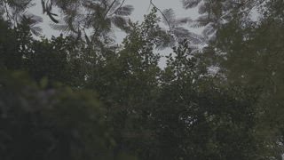 第1集