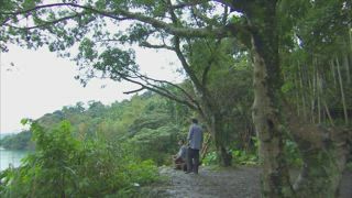 第7集