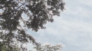 第24集 願望
