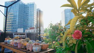 第6集