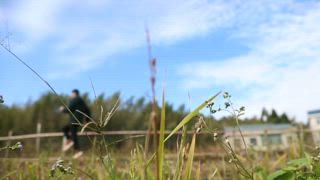 第34集