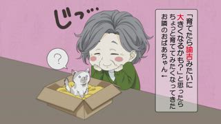 第8集