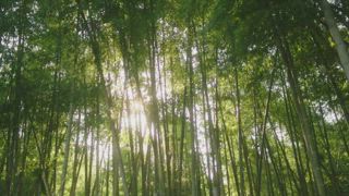第4集