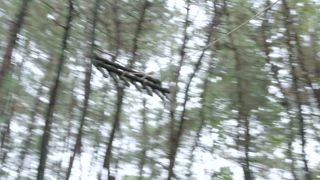 第25集