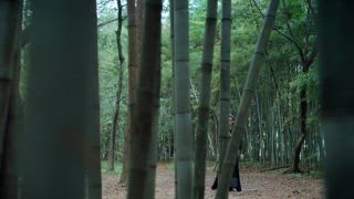 第12集