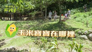 第9集 誰是最強小熊陪伴員！？