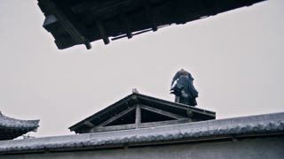 第21集