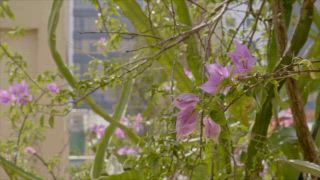 第2集《誰先說再見》導演訪談