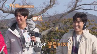EP218 賭上山茶花時 (上)