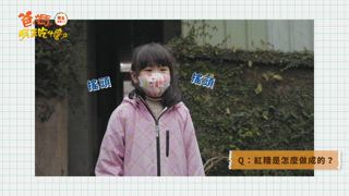 第1集  馬祖學校營養午餐發現紅糟肉！採集植物敲淡菜打造味蕾食驗室